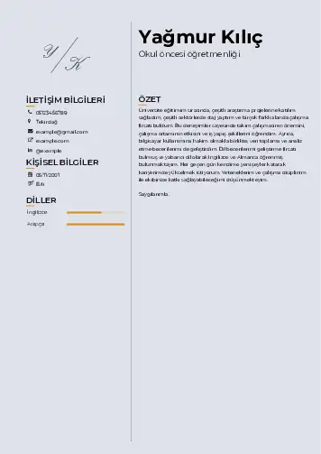 Okul Öncesi Öğretmeni Öğretmenliği Cv Örnekleri cv indir